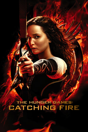 The Hunger Games Catching Fire 2013 Hindi Dual Audio 480MB