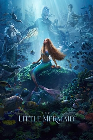 The Little Mermaid (2023) Hindi (ORG 5.1) | 480p