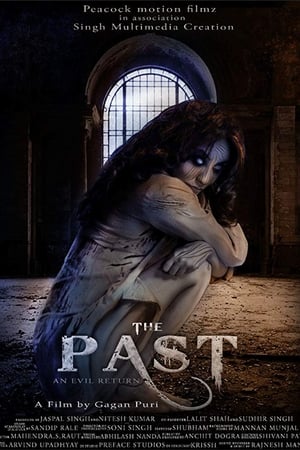 The Past 2018 Hindi Movie [940MB]